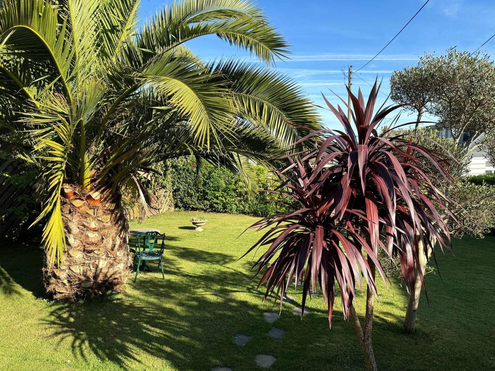 Maison De Charme 3* Avec Jardin Clos, Terrasse, Wifi A 60m Du Port De - Fr-1-368-79 *